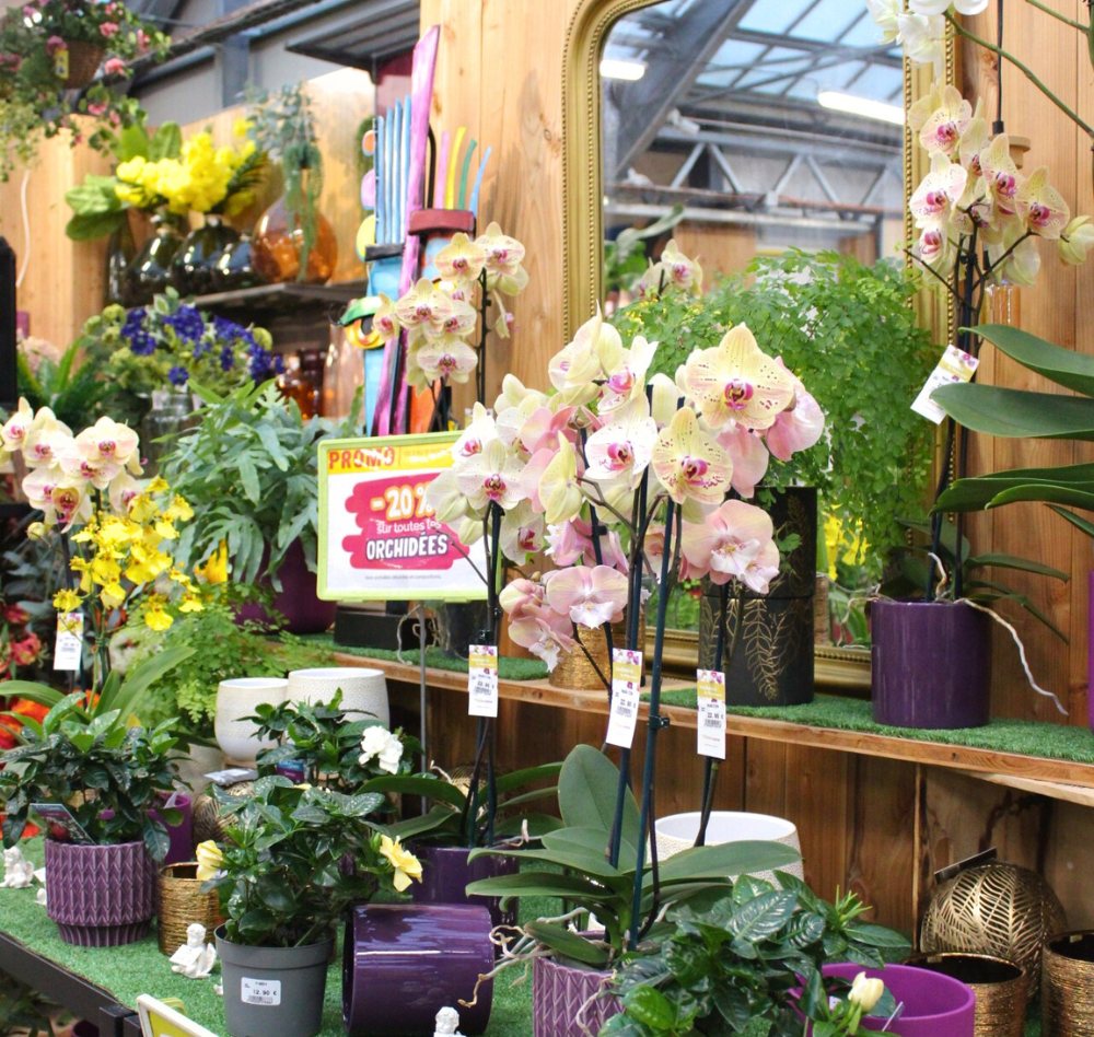 Photos site internet (3)