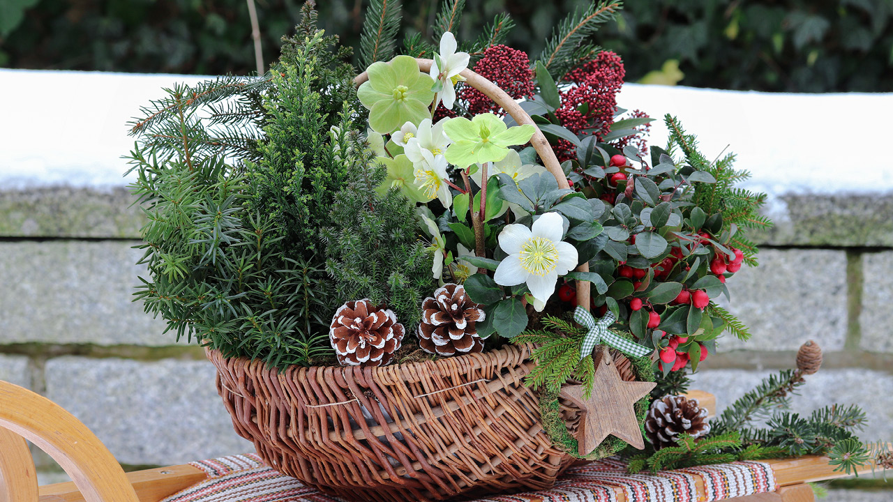 Petit balcon aménagé en hiver avec textiles chauds, lumière tamisée et décoration cosy Les Compagnons des Saisons