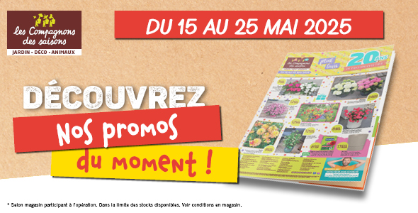 promotions jardin 2026 plantes fleuries